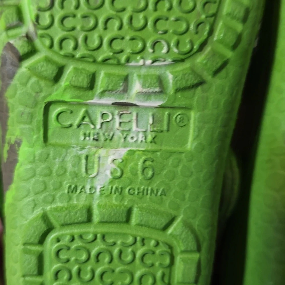 Capelli‎ New York Toddler Croc Clog slider- Alligator Size 6